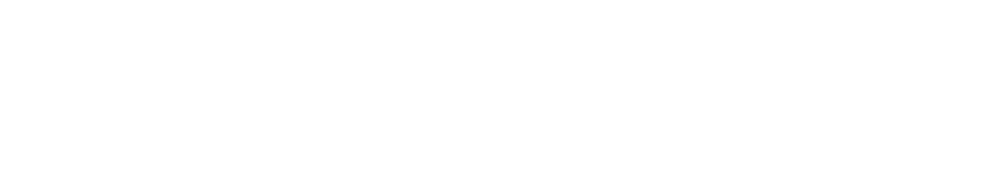 DREAMIND Project Management